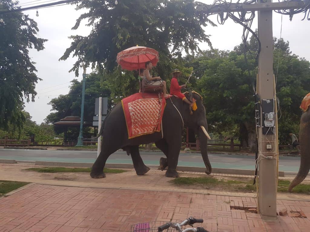 Elefantenreiten in Ayutthaya