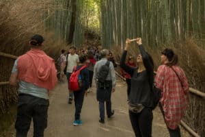 viele bunte Touris im Arashiyama Bambuswald