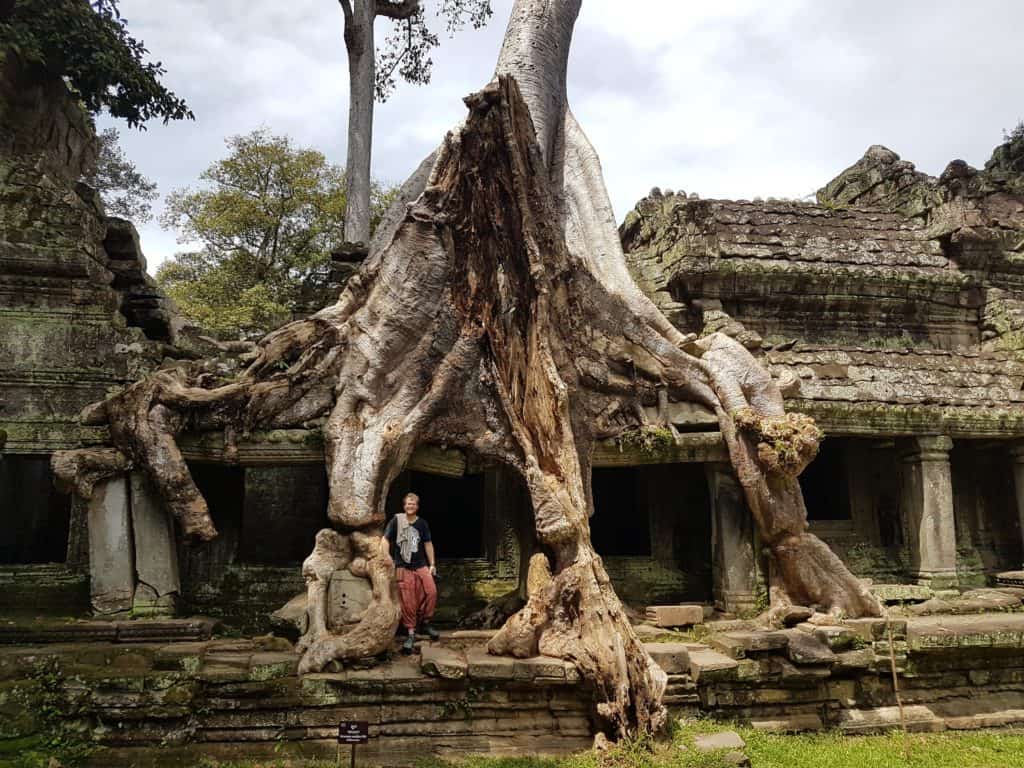Ta Prohm Tempel in Angkor
