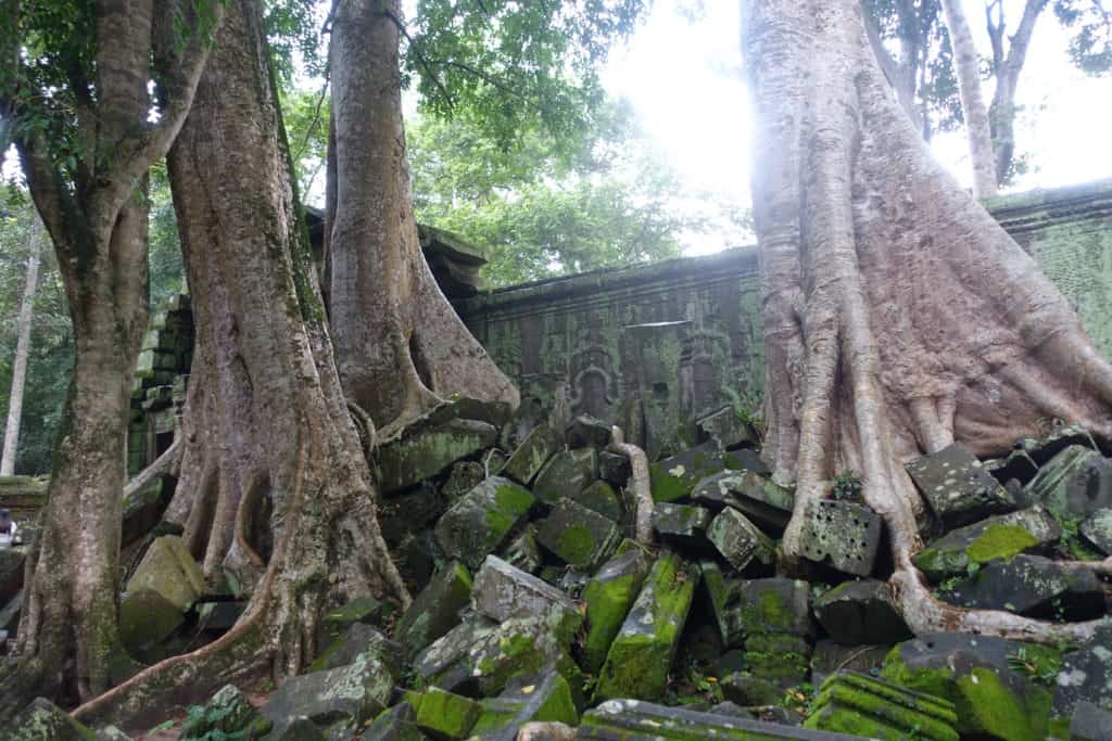 Endlich Angkor Thom, bekannt aus Tomb Raider