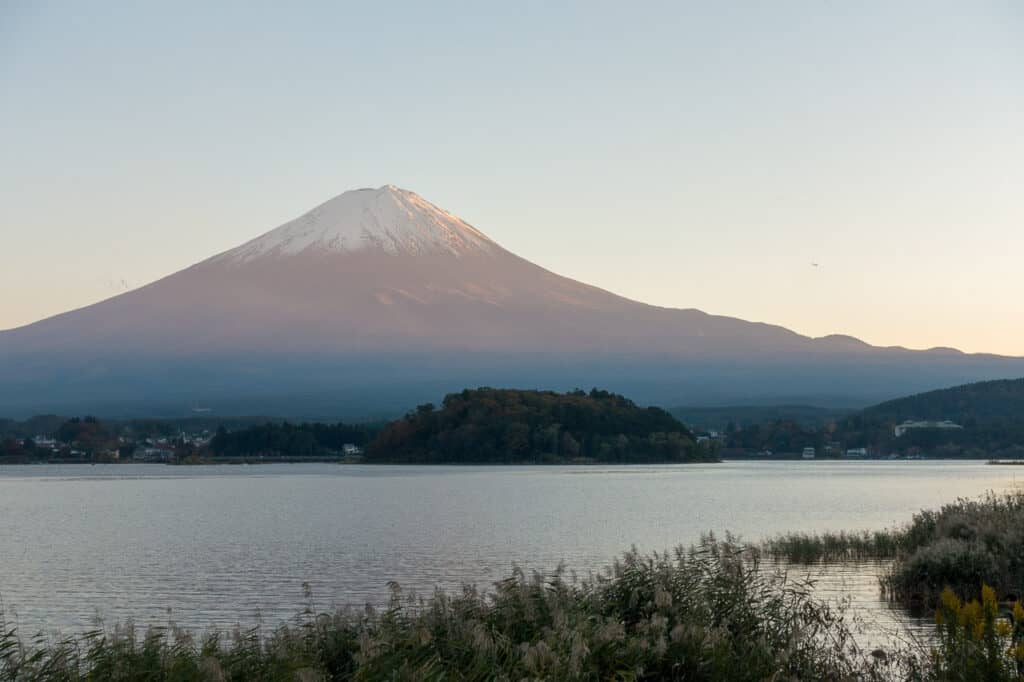 Blick auf den Fuji vom Oishi Park am Lake Kawaguchiko, Japan in 14 Tagen